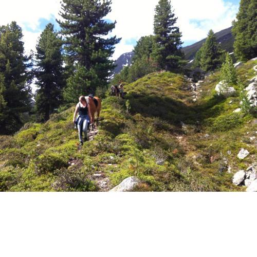 Adventure