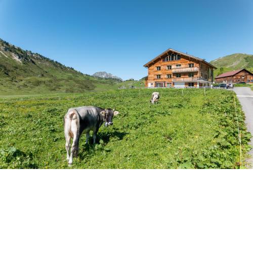 Alphus Appartements