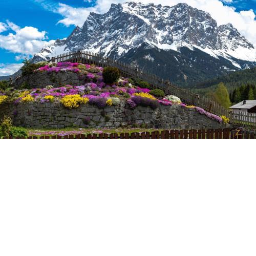 Alpinum Hostel