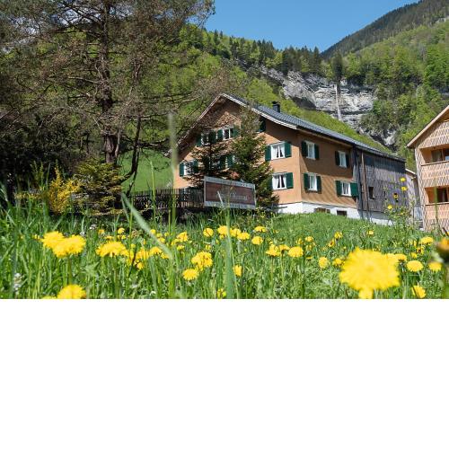 Alps Hoamat