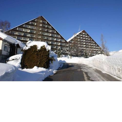 Apartment in Bad Mitterndorf - Steiermark 36993