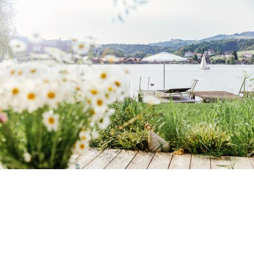 Appartement am See