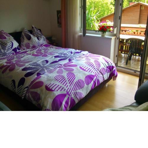 Appartement Draublick