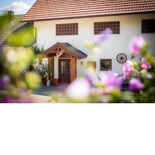 Appartements und Vinoteka DAVID
