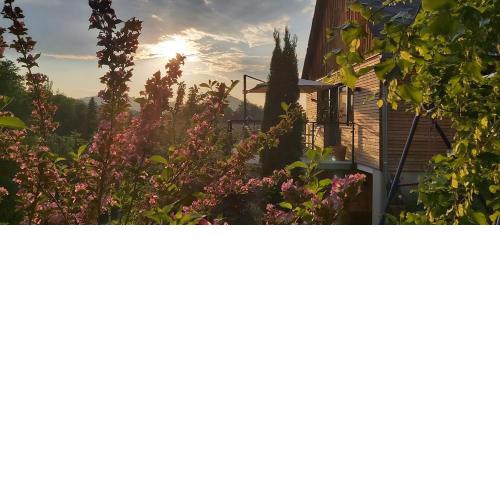 Bauernhof Kure