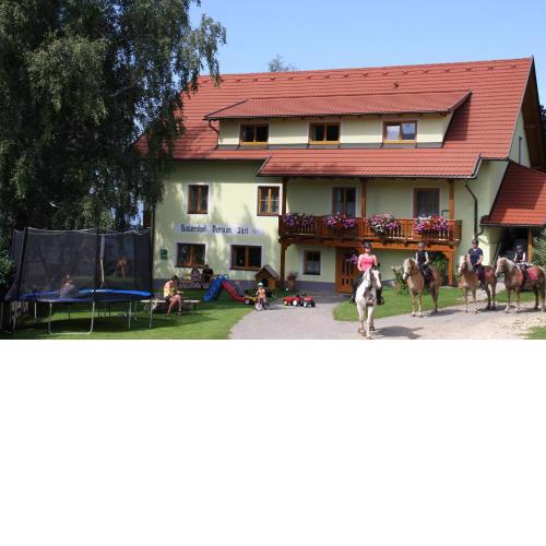 Bauernhof Pension Juri