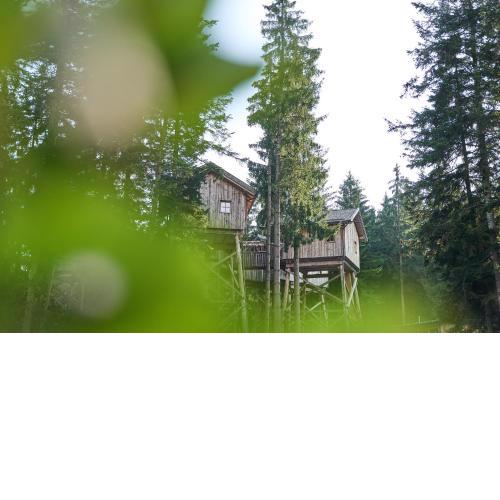 Baumhotel