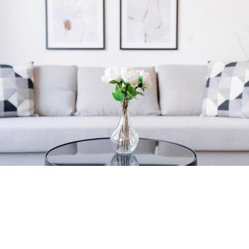 Beautiful apartment in Vienna's heart Old
