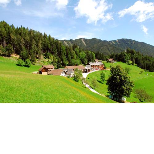 Bed&Breakfast Lausegger