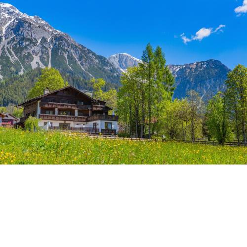 Bergidyll 11 by Alpenidyll Apartments