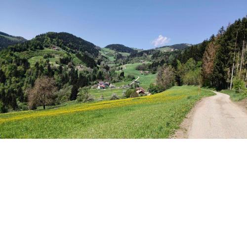 Biobauernhof Kräuter