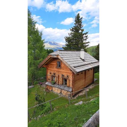 Chalet Bergliebe Turrach