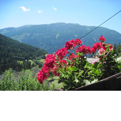 Chalet Catton Two Bedroom Appartement near Bad Kleinkirchheim