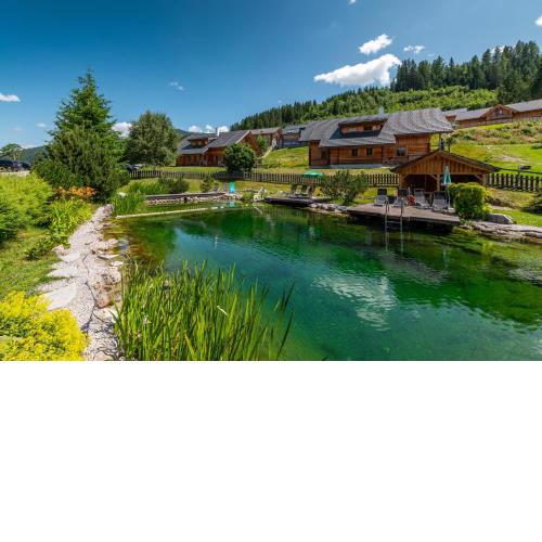 Chalet Dachsteinblick
