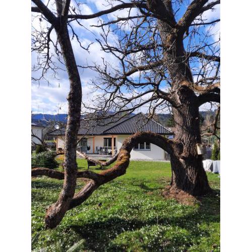 Chalet Damtschach
