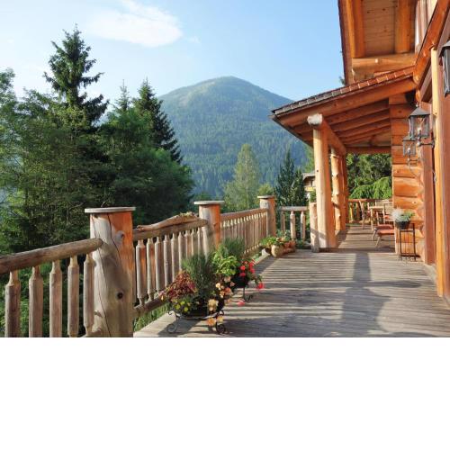 Chalet in Bad Kleinkirchheim with 2 saunas