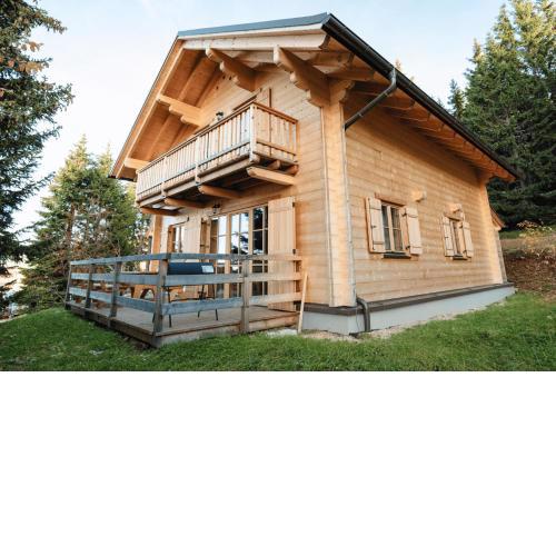 Chalet mit Sauna XL 27