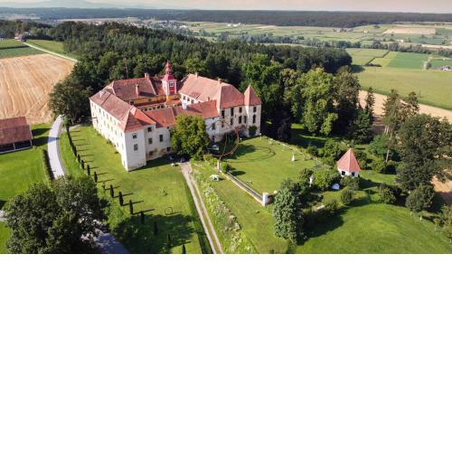 Cool Flat at Renaissance Castle - 3BR