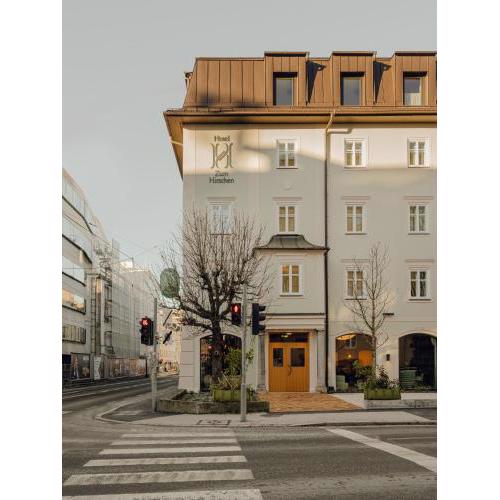 Design Apartments zum Hirschen