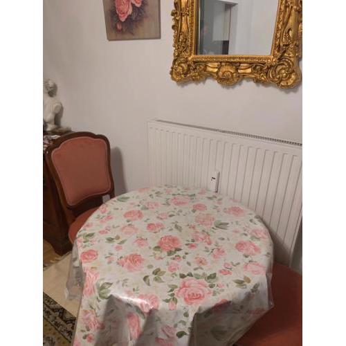 Einzimmerwohnung am Jakomini