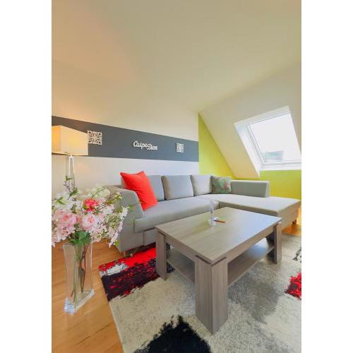 Elegant Duplex Danube Canal