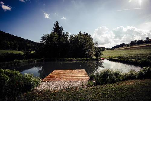 Ferienhaus am Teich