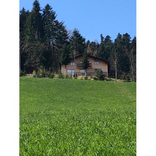 Ferienhaus am Waldrand von Egg Bregenzer Wald