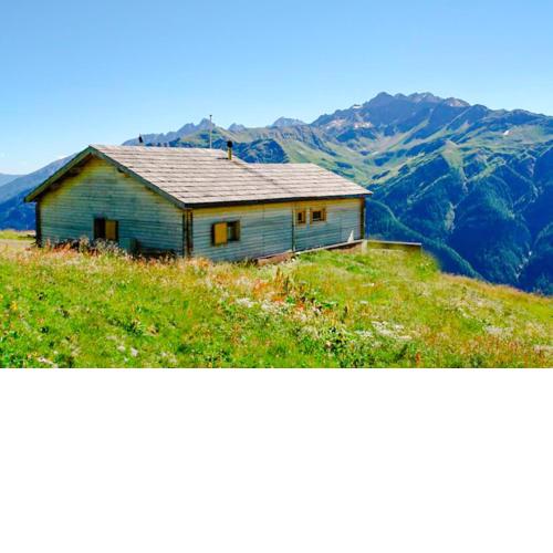 Ferienhaus Maligeralmhütte