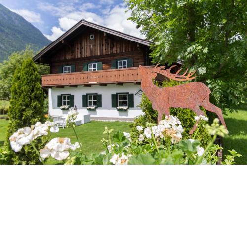 Forest Chalet, 15 min to salzburg olt town, and most beautiful lakes, secluded location, 1,000 sqm garden, mountainview, panorama sauna, bath whirlpool, BBQ&bikes&sunbeds for free, up to 10 p