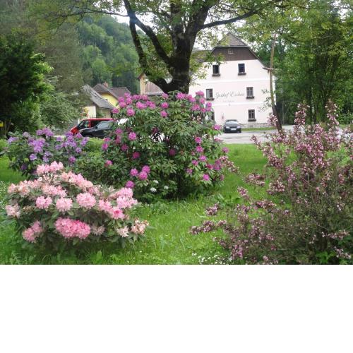 Gasthof Eschau