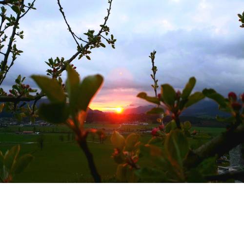 Griesbachhof-Wilder Kaiser