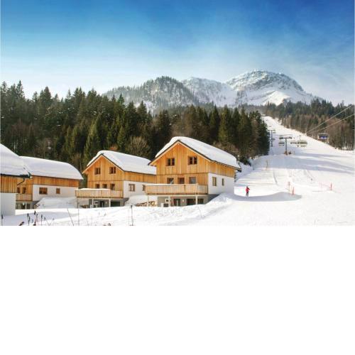 Großes Ferienhaus Altaussee