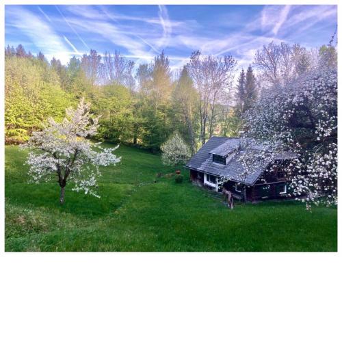 Halthäusl - auf der Alm