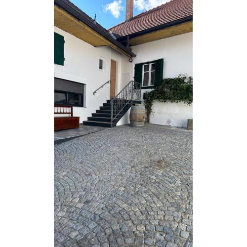 Haus Crisan- Garconniere