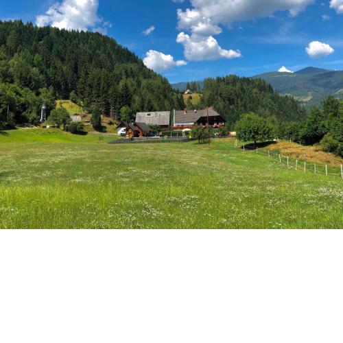 Haus Edlinger inclusive Murau Sommer Gäste Card