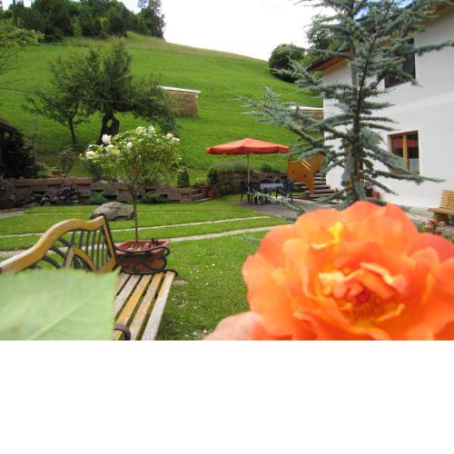 Heidi's Schlummerkiste am Fuß der Teichalm