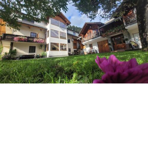 Knaller der Reiterbauernhof