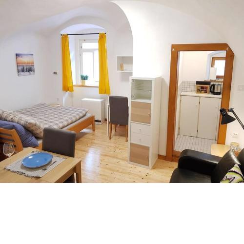 Komfortable Wohnung mit Garten im Zentrum von Graz