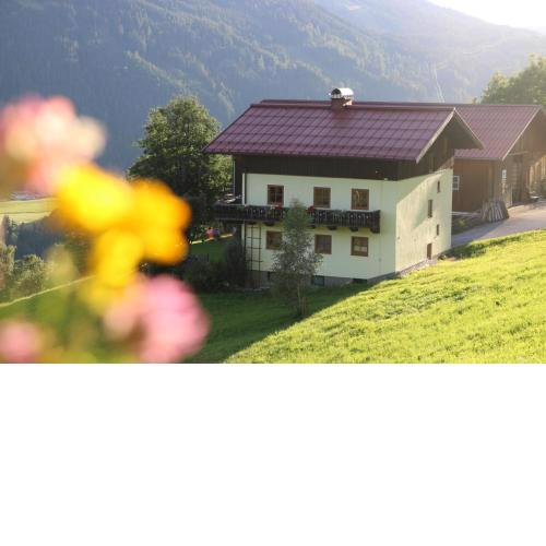 Molteraugut