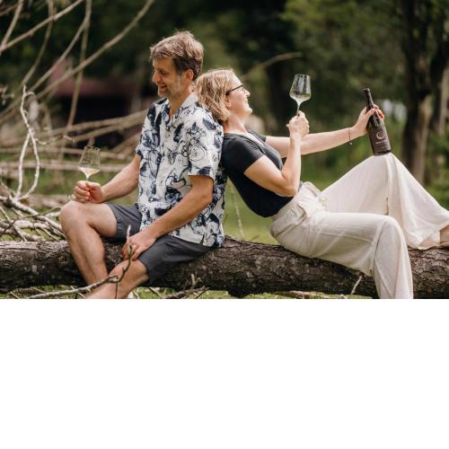 Monschein Weingut Straden