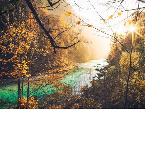 NaturparkResort Salzahalt