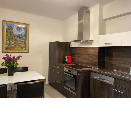 Neueröffnung - Apartment Dietrichsteinplatz - gratis Tiefgaragenplatz