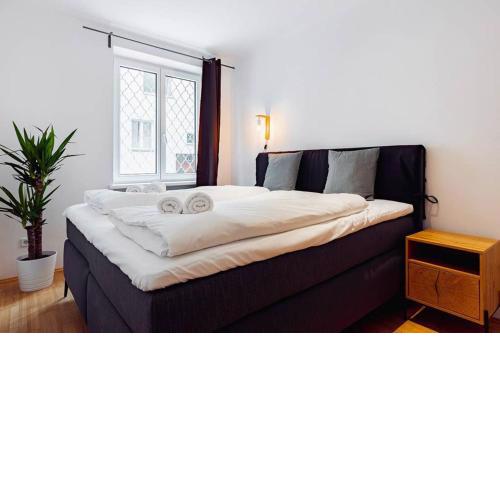 Newly-Renovated, Central City Apartment in the Heart of Vienna