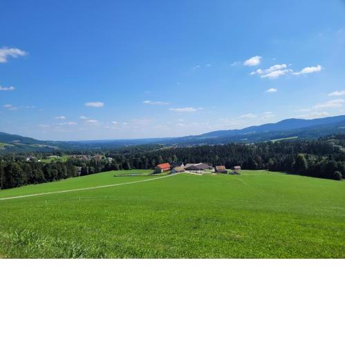 Pircherhof - Adults Only am Biobauernhof