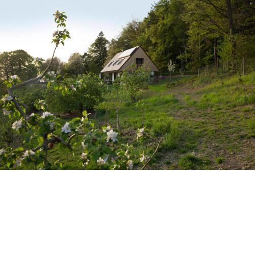 Refugium am Wald