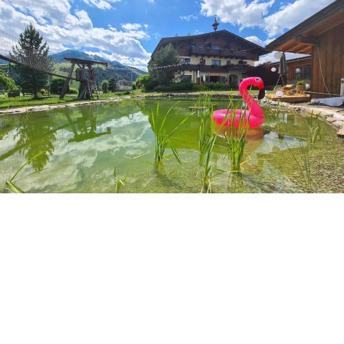 Simone's Platzerl - nachhaltiger Urlaub inkl Sommerkarte, freier Eintritt Tauern Spa, Schwimmteich und Saunabereich