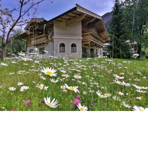 Sonniges Landhaus in den Hohen Tauern