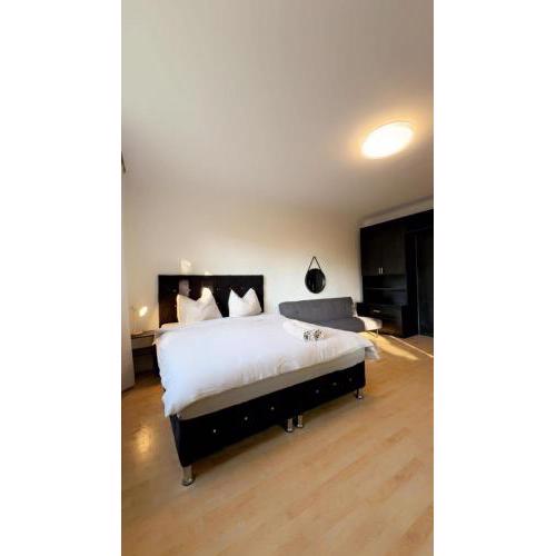 Spacious Garden Villa near Danube For 16 Guests