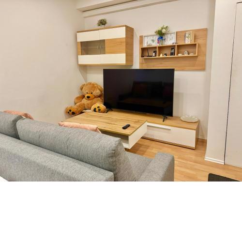 Spacious Stone Central Apartment
