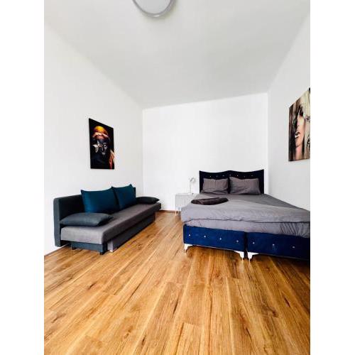 Stylih & Spacious Studio Close to Augarten Park